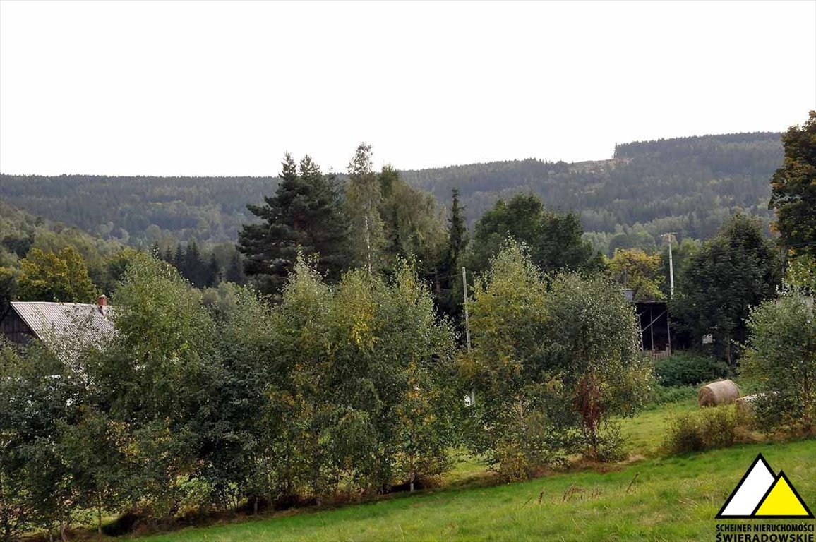 Działka budowlana na sprzedaż Gierczyn  2 500m2 Foto 9