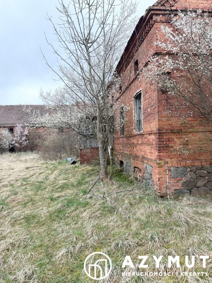 Działka inna na sprzedaż Buszkowice  3 800m2 Foto 1