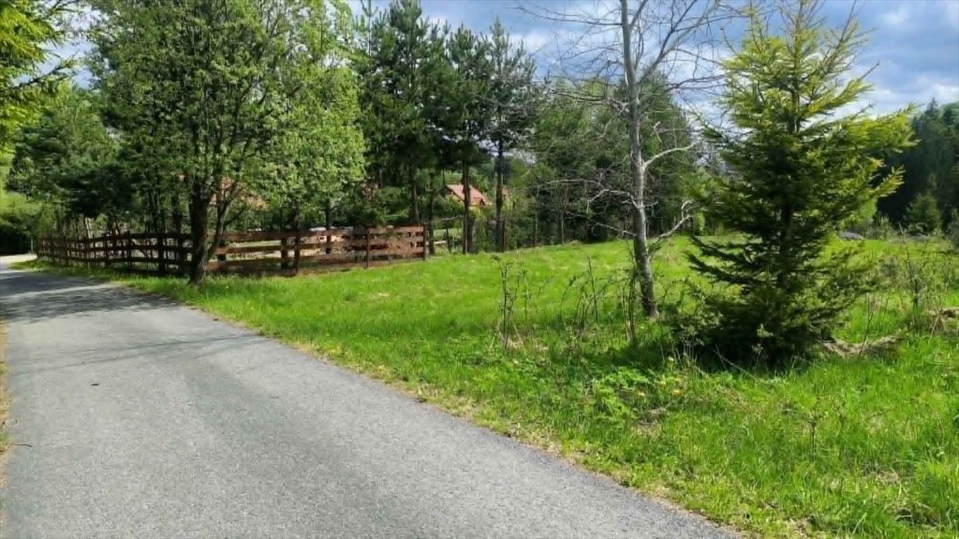 Do sprzedania przestronna działka rolna 4900 m² z dostępem do mediów Laliki  4 900m2 Foto 1