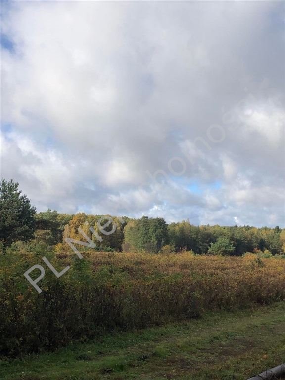 Inwestycyjna działka 10 ha z mediami w Starej Wsi Stara Wieś  100 000m2 Foto 1