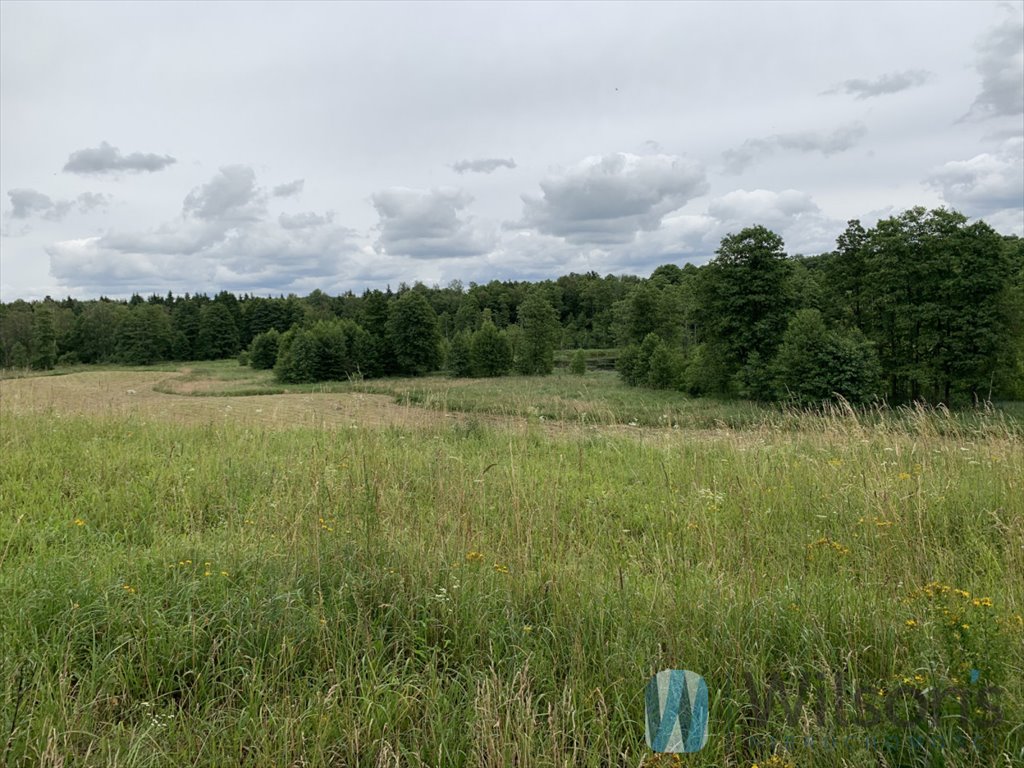 Działka budowlana na sprzedaż Malinka  153 738m2 Foto 5