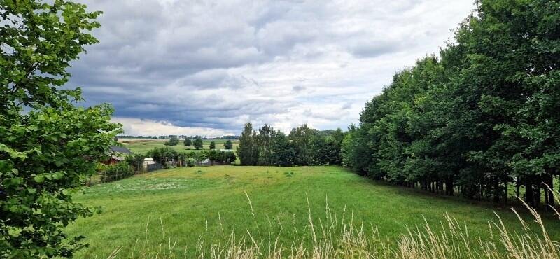 Działka budowlana na sprzedaż Grajwo  1 250m2 Foto 11