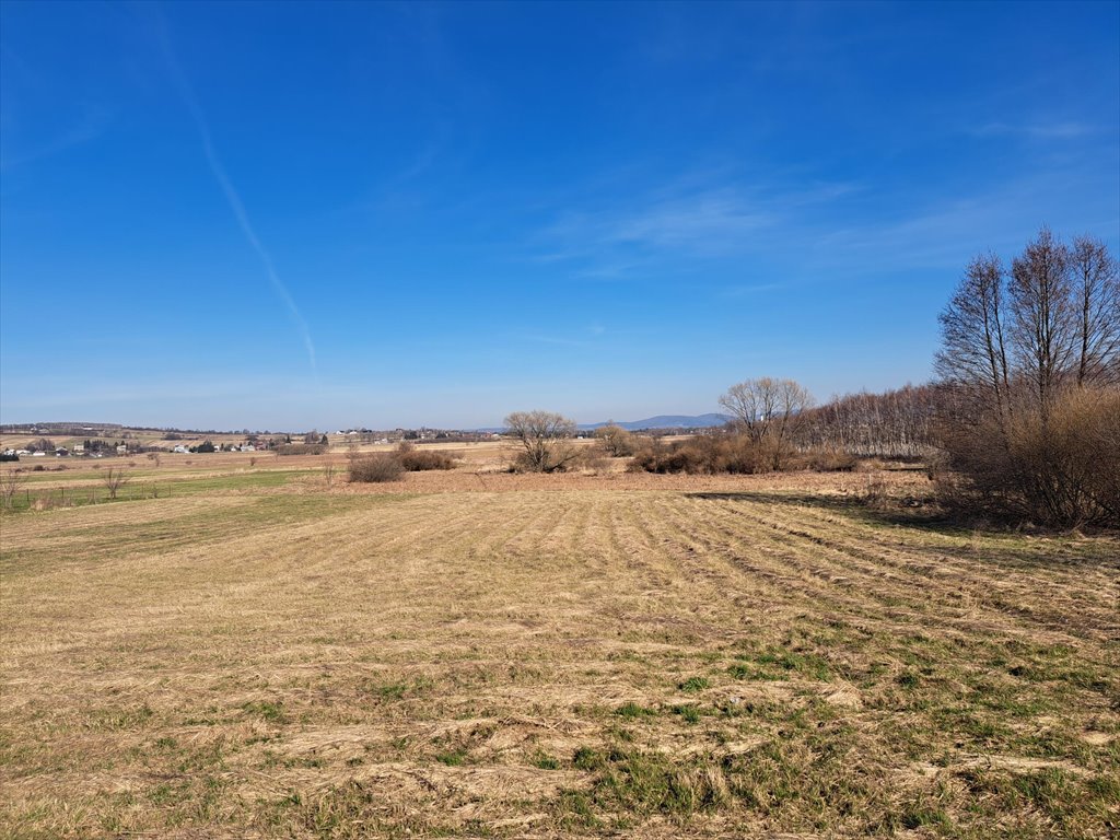 Działka 1,83 ha z widokiem na góry i las w Żeglcach Żeglce  1 830m2 Foto 1