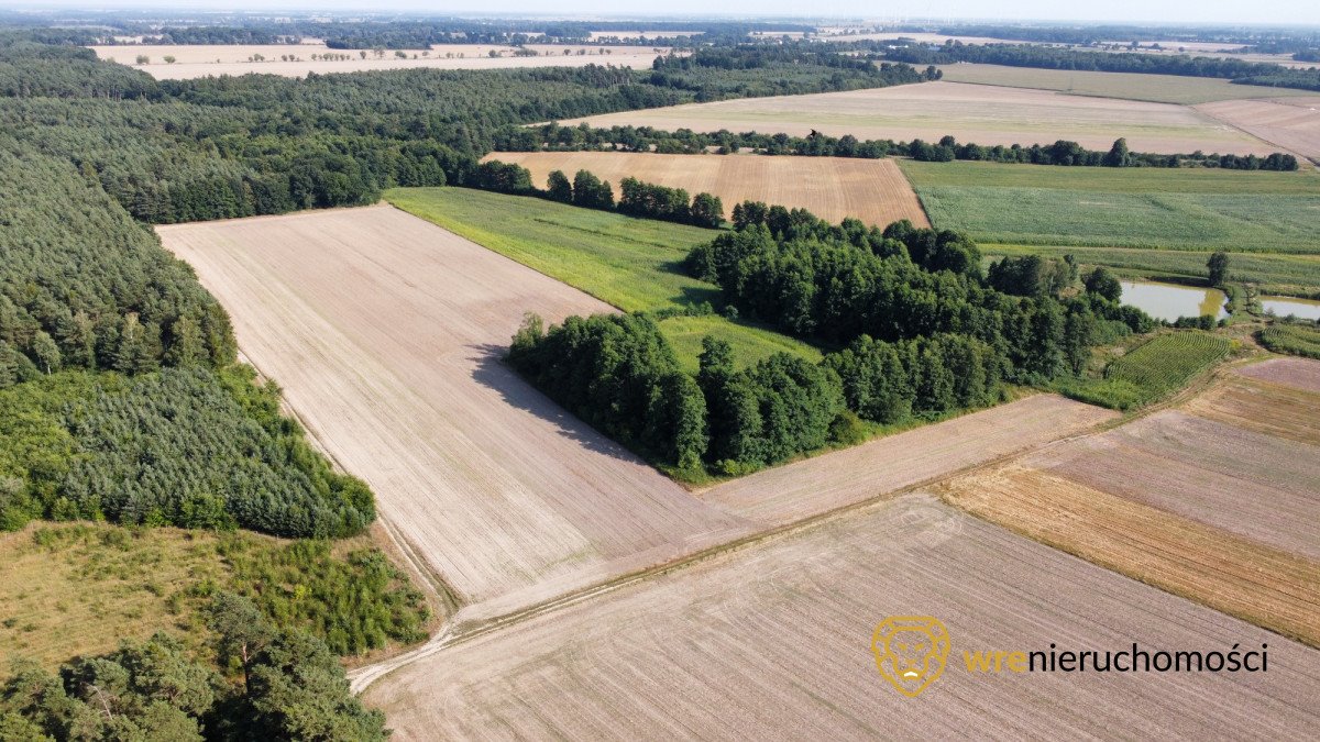 Działka budowlana na sprzedaż Poniatowice  86 627m2 Foto 2