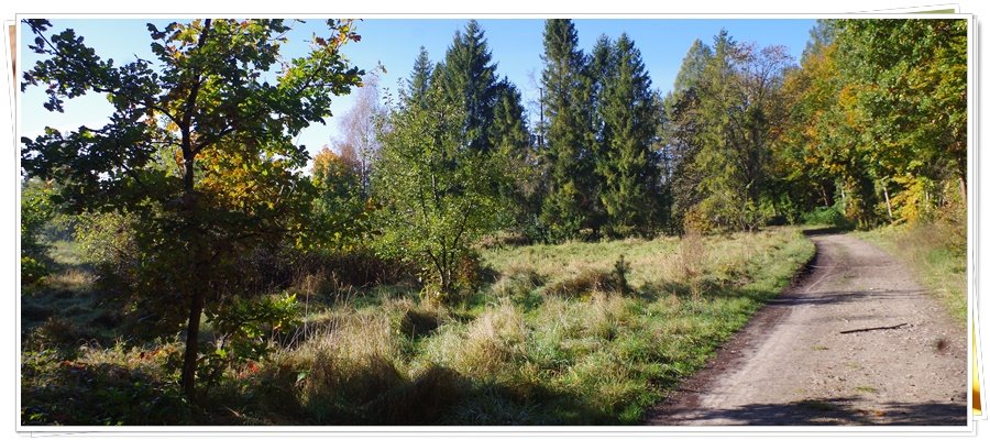 Działka rolna na sprzedaż Wejherowo, Śmiechowo, Fenikowskiego  8 970m2 Foto 17