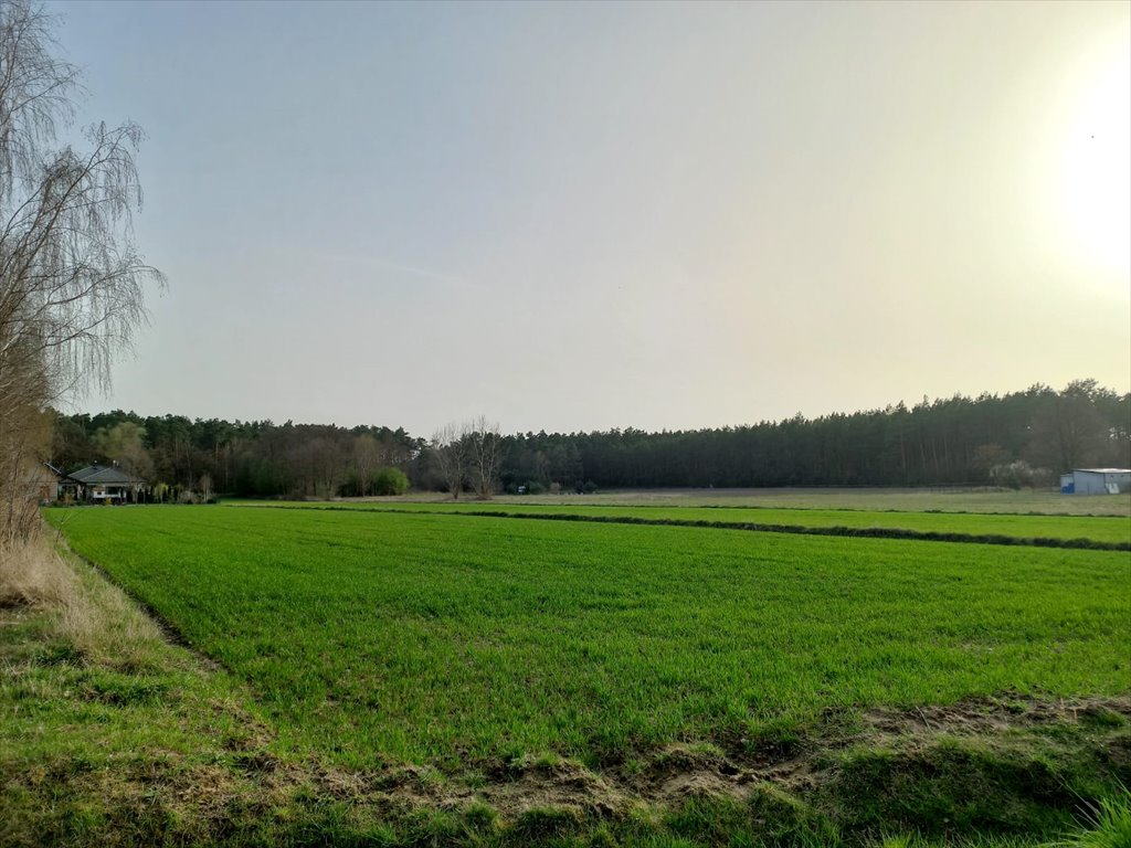 Działka budowlana na sprzedaż Ludwikowo, Bursztynowa  2 800m2 Foto 1