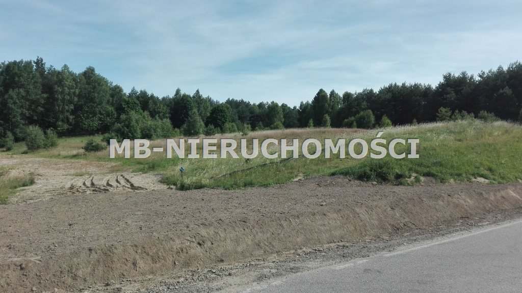 Działka rolna z warunkami zabudowy (4577 m²) w Miodówku Miodówko  4 577m2 Foto 1