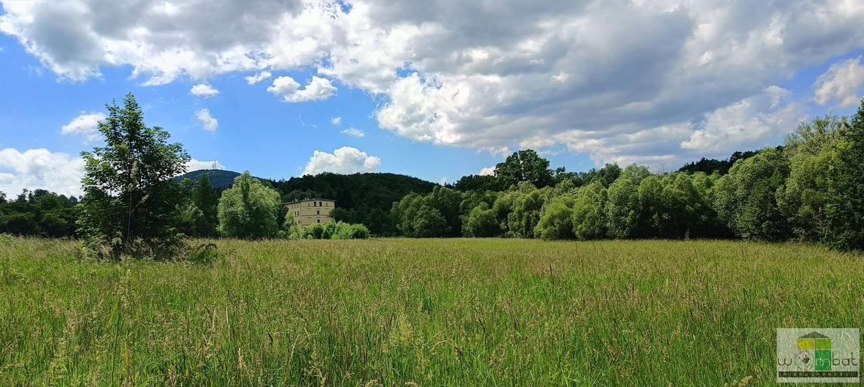 Działka budowlana na sprzedaż Szczawno-Zdrój  131 985m2 Foto 5