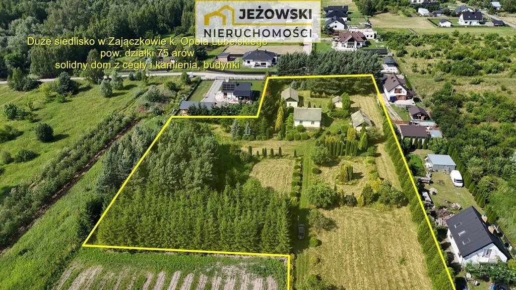 Działka inna na sprzedaż Zajączków  7 520m2 Foto 1