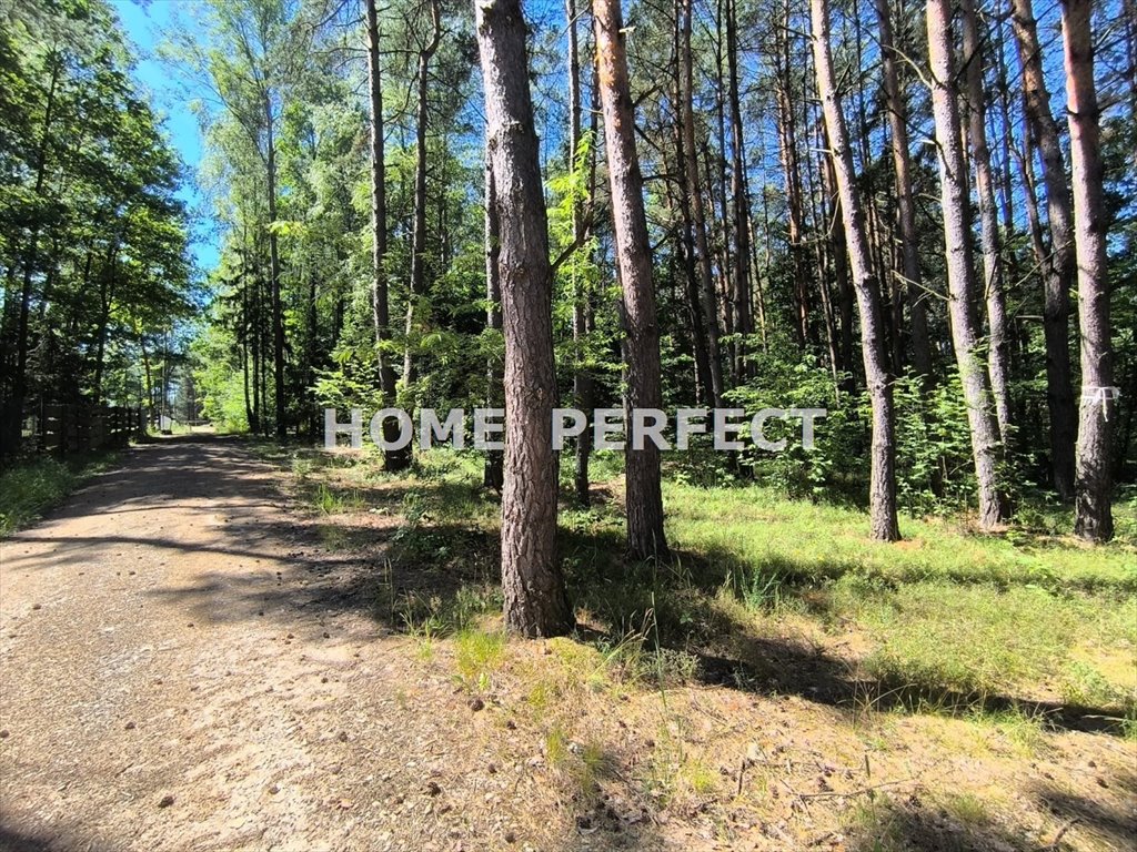Polecam działkę 4754 m² pod inwestycję w Życiny blisko Zalewu Życiny  4 754m2 Foto 1