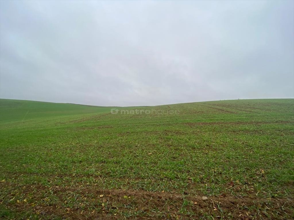 Działka rolna na sprzedaż Gwiździny, Nowe Miasto Lubawskie  84 900m2 Foto 1
