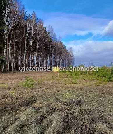Działka budowlana 3066 m² z lasem, uzbrojona (woda, prąd) Sucha  3 066m2 Foto 1