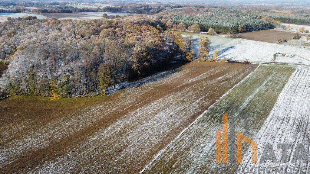 Działka inna na sprzedaż Prusice  36 600m2 Foto 9