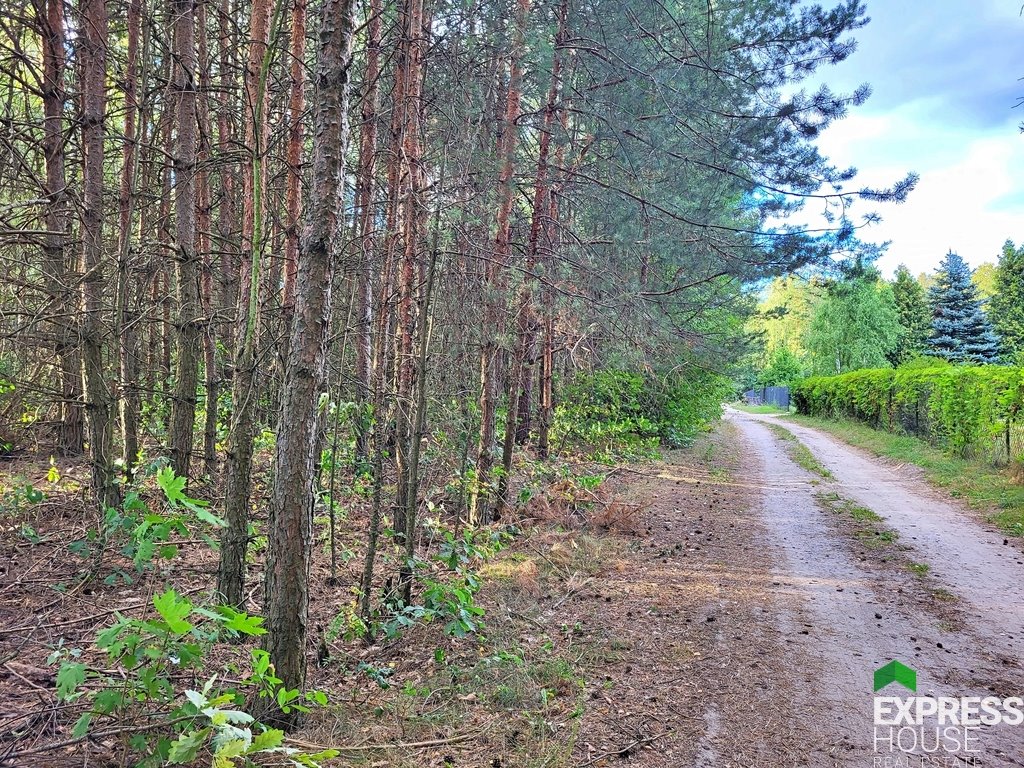 Działka rolna na sprzedaż Rogóźno  10 414m2 Foto 1