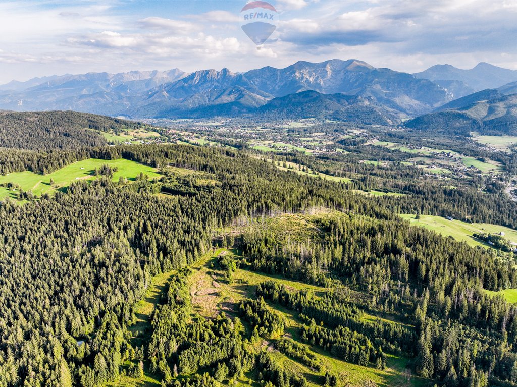 Działka rolna na sprzedaż Dzianisz  6 560m2 Foto 11