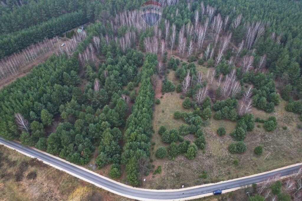 Działka budowlana na sprzedaż Stara Huta  2 950m2 Foto 5