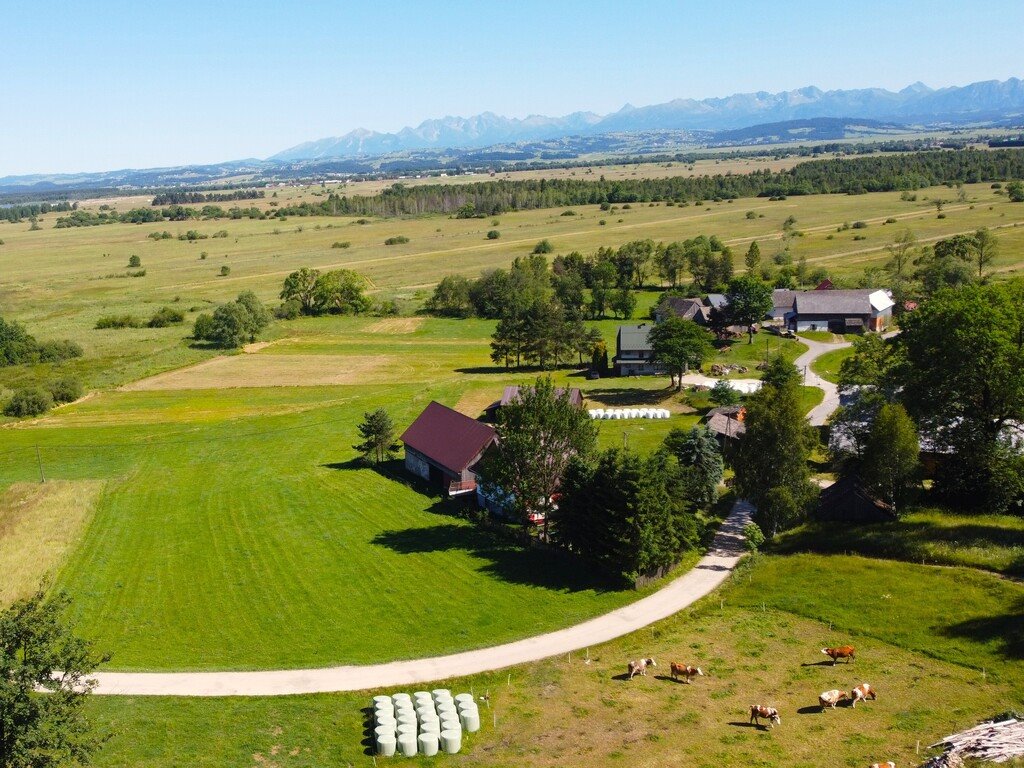 Działka 2973 m2 z widokiem na Tatry i spokojem Odrowąż  2 973m2 Foto 1