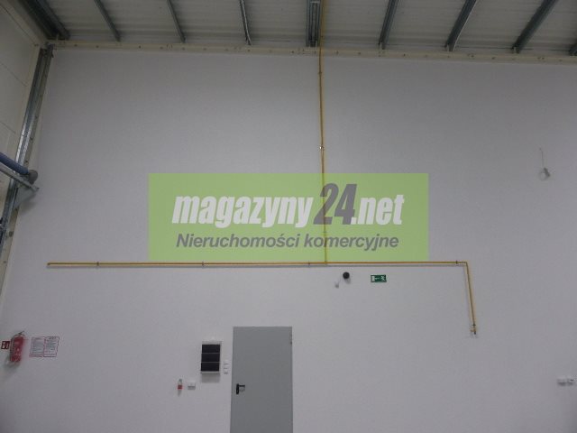 Magazyn na wynajem Grodzisk Mazowiecki  1 200m2 Foto 6