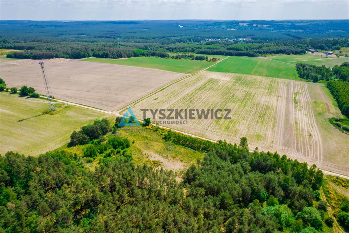 Działka rolna na sprzedaż Dębnica Kaszubska, Piaskowa  10 428m2 Foto 4