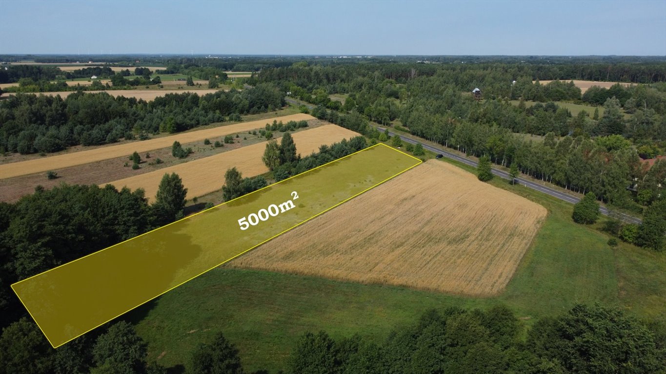 Działka 5000 m² z warunkami zabudowy w Krzyczkach Szumnych Nasielsk  5 000m2 Foto 1