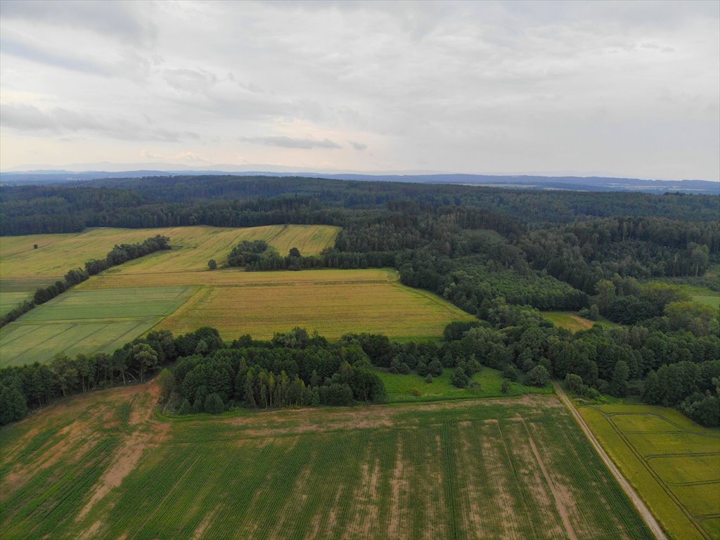 Działka rolna na sprzedaż Kotliska  19 600m2 Foto 9