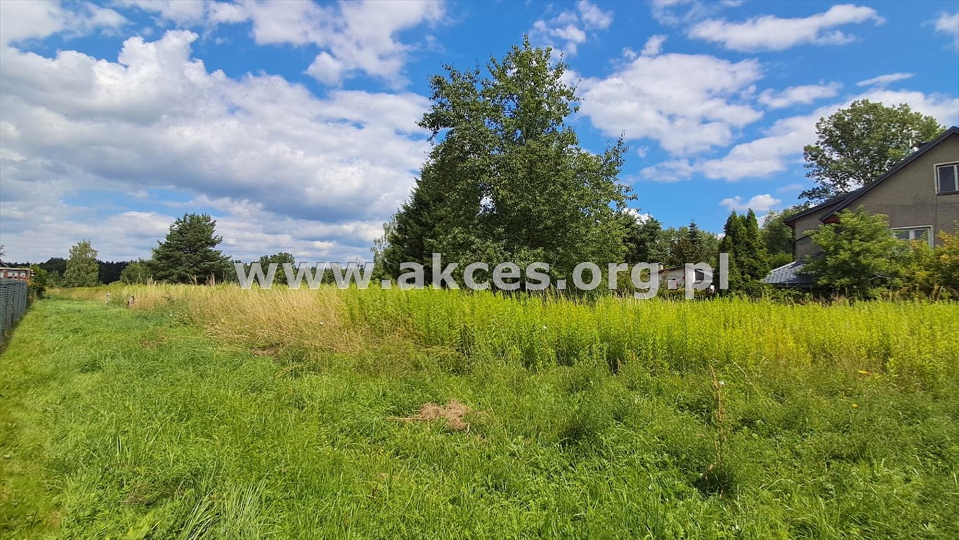 Działka budowlana na sprzedaż Tomice  13 600m2 Foto 4