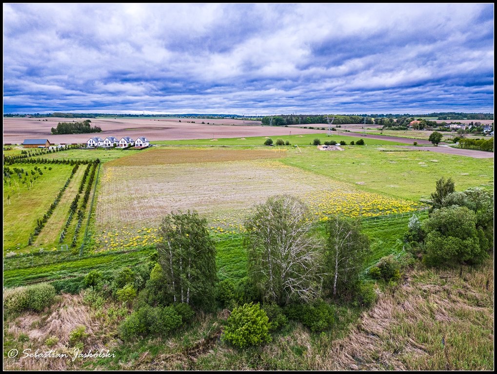 Działka inwestycyjna na sprzedaż Pawłowice, Pawłowicka  31 488m2 Foto 6