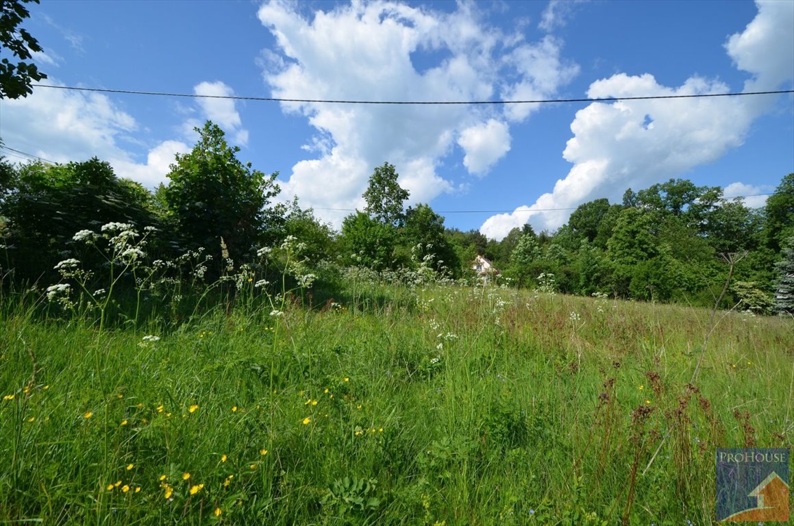 Działka budowlana na sprzedaż Lipowe  1 500m2 Foto 1