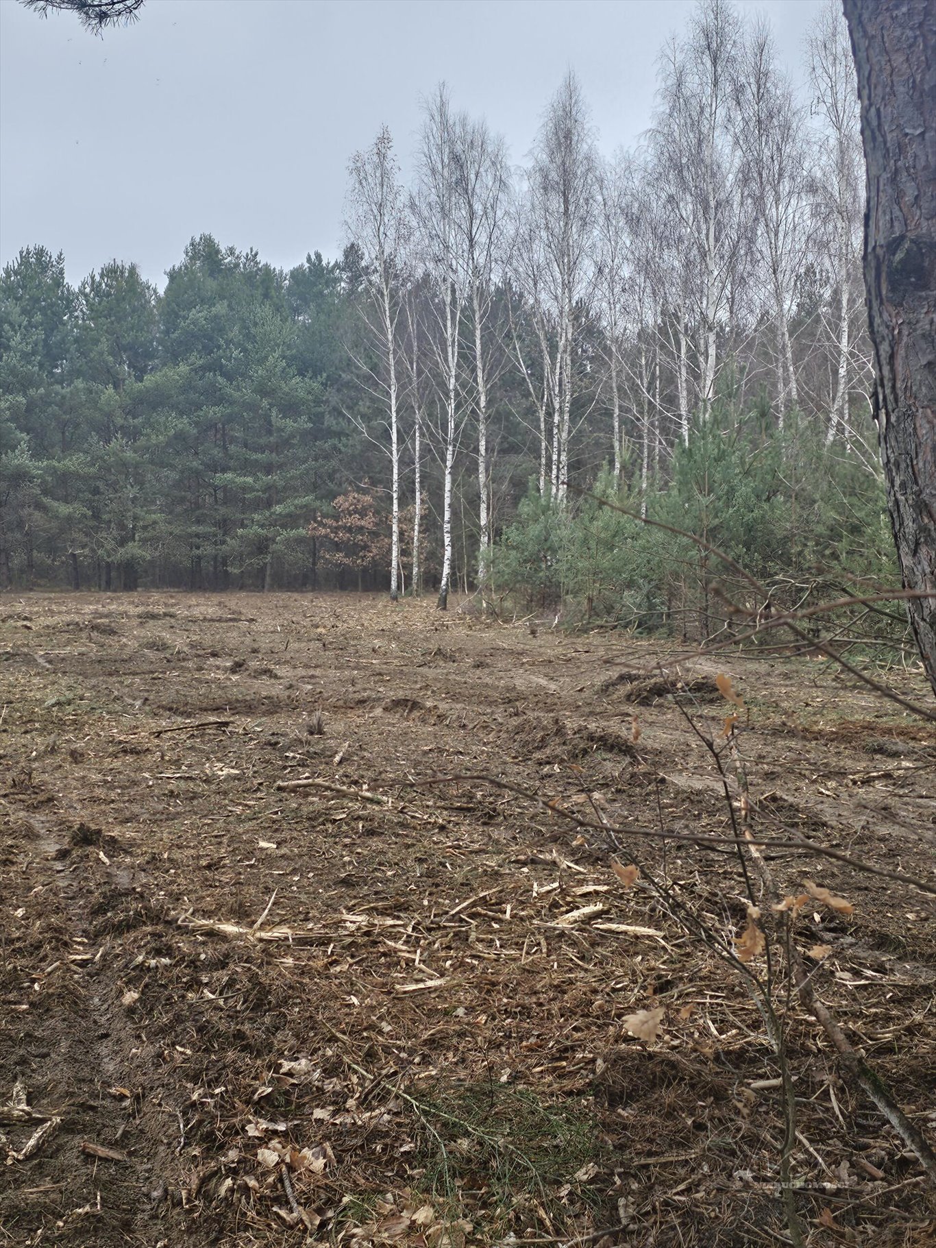 Działka budowlana na sprzedaż Adamów-Parcel  1 540m2 Foto 7