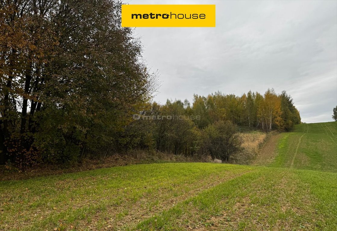 Działka rolna 50 arów w Rozdołach – spokój i natura Rozdoły  5 000m2 Foto 1