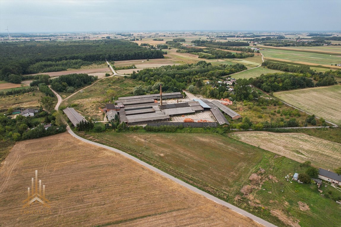 Działka inwestycyjna na sprzedaż Konstantynów  95 000m2 Foto 3