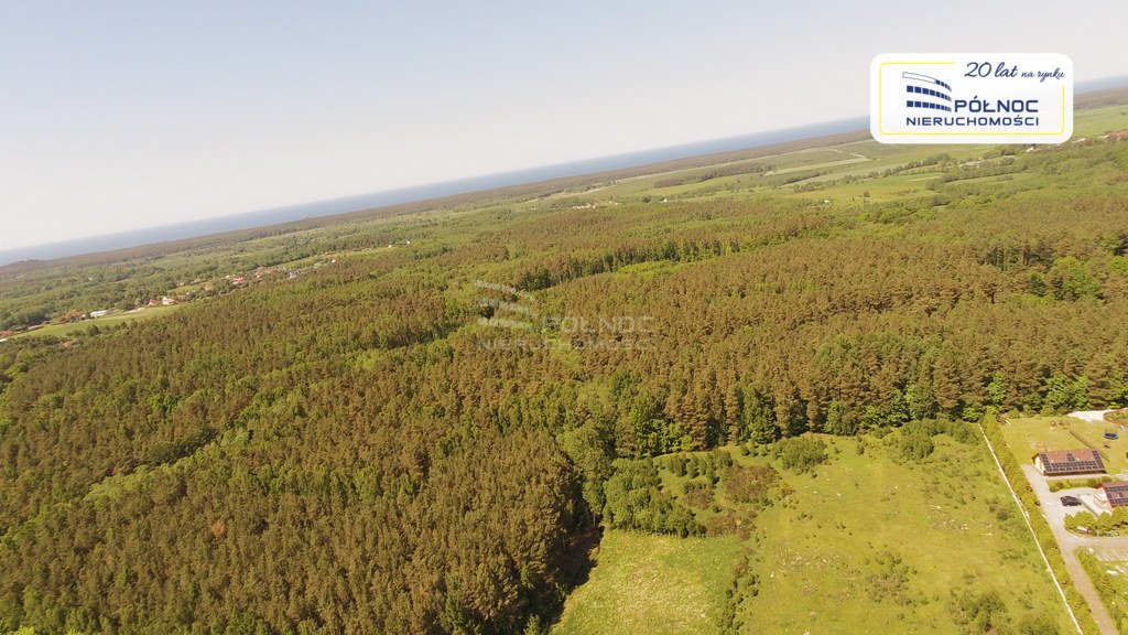 Działka budowlana na sprzedaż Ciekocino  1 936m2 Foto 14