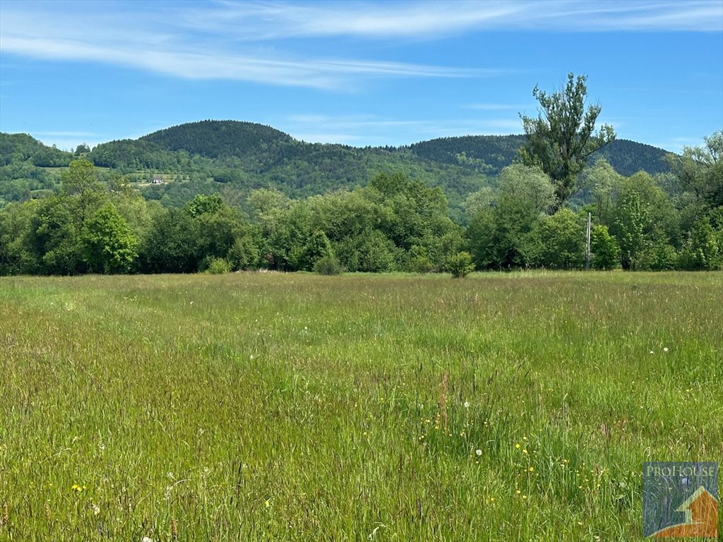 Działka budowlana na sprzedaż Podłopień  4 058m2 Foto 7