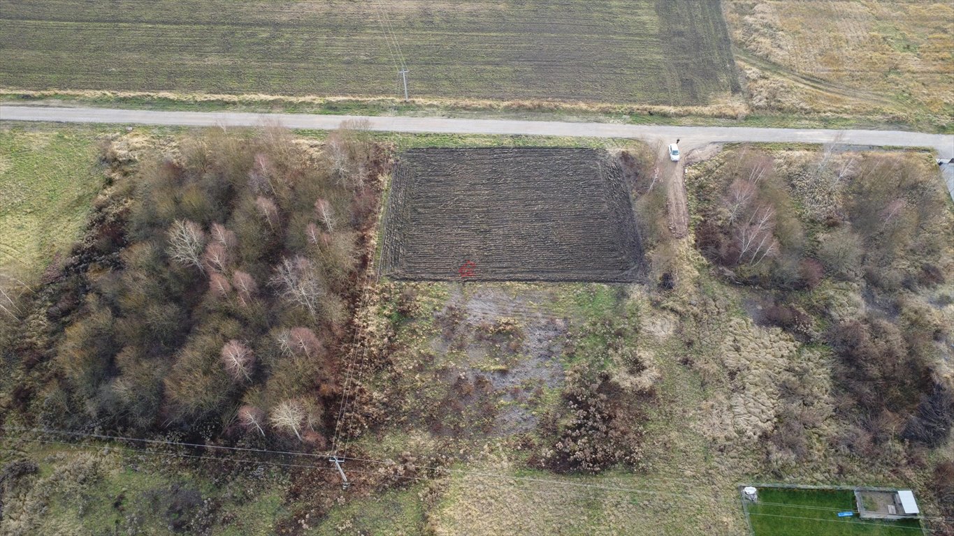 Działka budowlana na sprzedaż Oblęgorek, Spółdzielcza  1 587m2 Foto 5