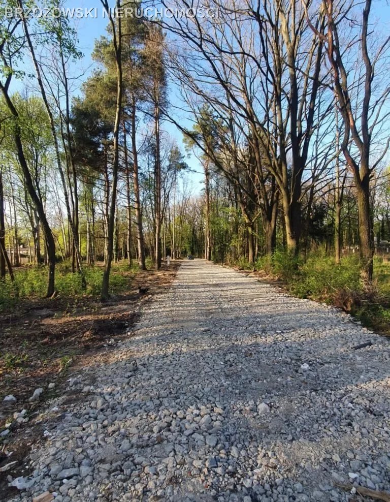 Działka budowlana na sprzedaż Żółwin  1 100m2 Foto 2