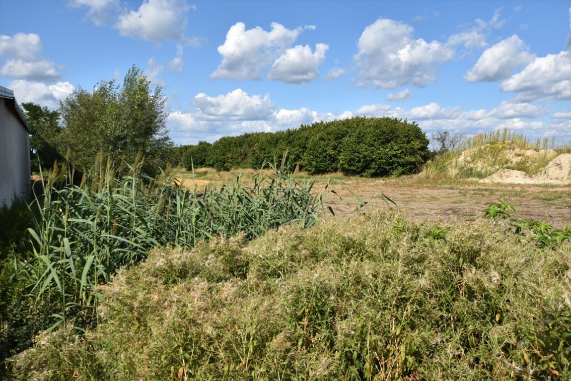 Działka budowlana na sprzedaż Żytowice  1 185m2 Foto 4