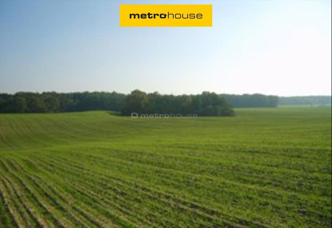 Działka przemysłowa 12,1 ha z mediami i dobrym dojazdem Trzcielin  121 250m2 Foto 1