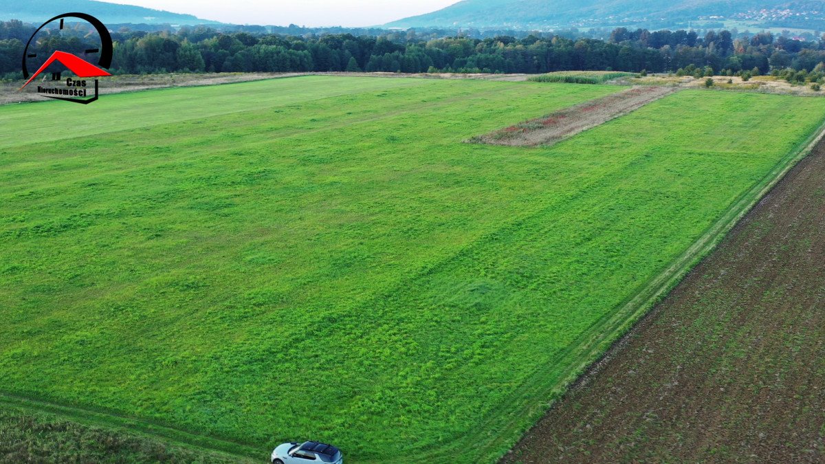 Działka gospodarstwo rolne na sprzedaż Rybarzowice, Łodygowska  3 190m2 Foto 20