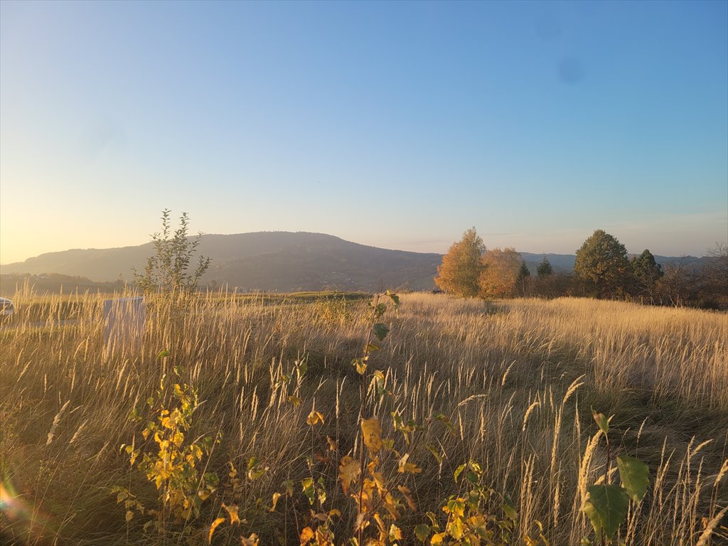 Działka rekreacyjna na sprzedaż Szymbark  3 000m2 Foto 8