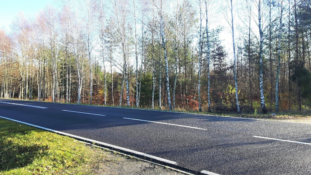 Działka siedliskowa na sprzedaż Zadry  70 600m2 Foto 11