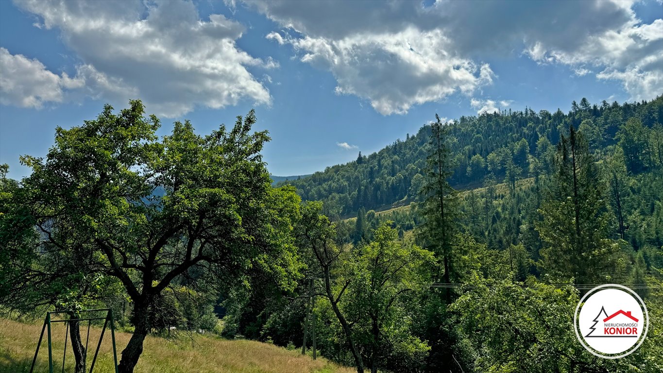 Działka inwestycyjna na sprzedaż Szczyrk, Salmopol, Wiślańska  45 000m2 Foto 13