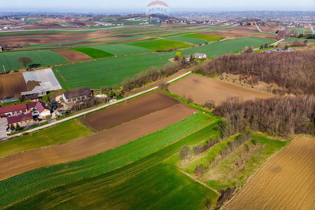 Działka rolna na sprzedaż Sierosławice  3 300m2 Foto 10