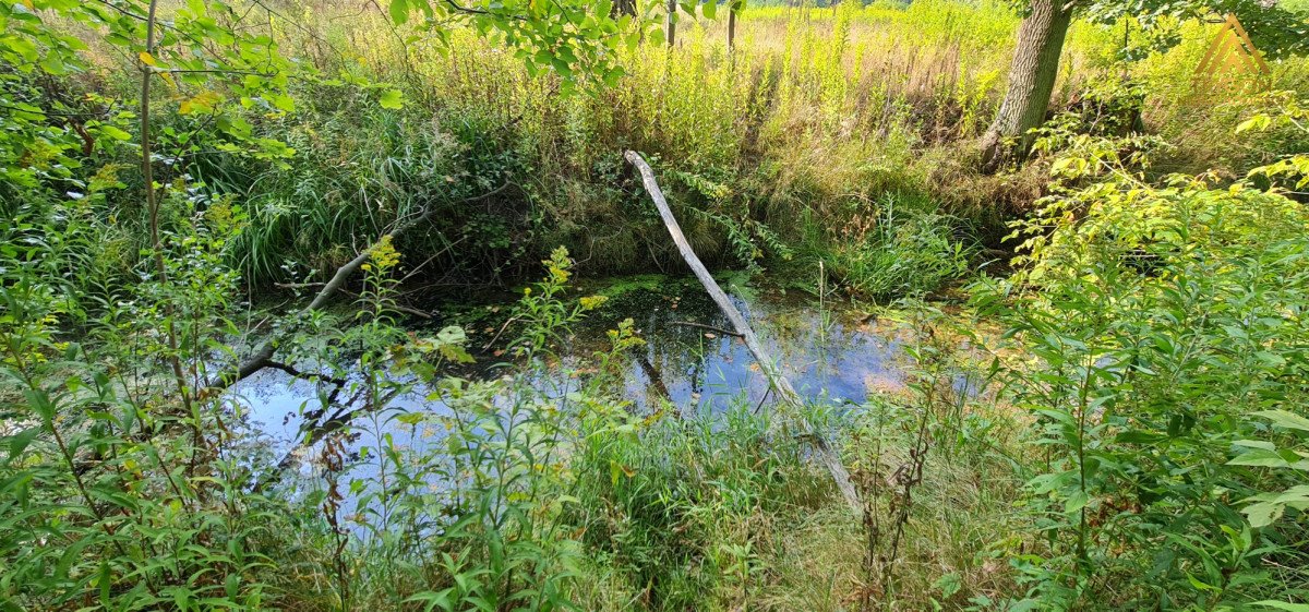 Działka budowlana na sprzedaż Wiązowna, Wiązowna Kościelna, Duchnowska  2 000m2 Foto 5