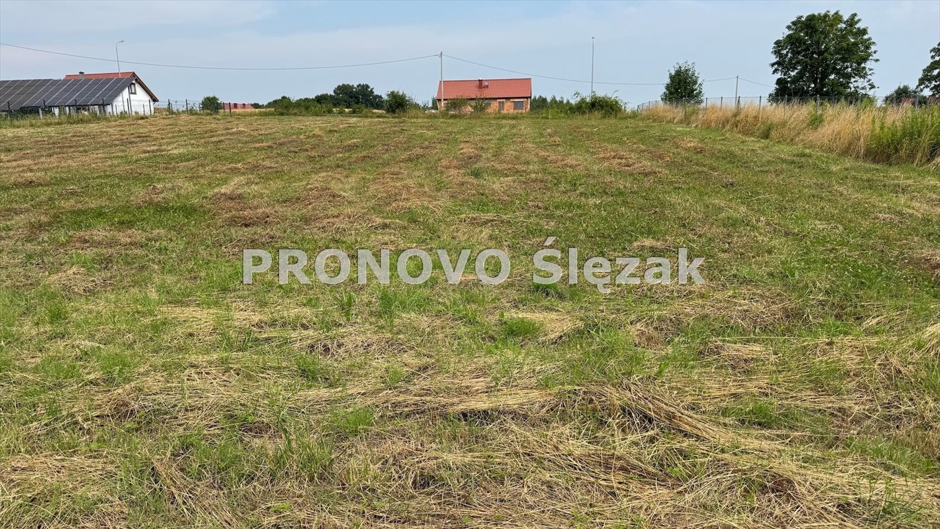 Działka 1800 m² w Strupinie - spokojna okolica i media. Prusice, Strupina  1 800m2 Foto 1