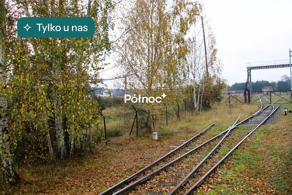 Na sprzedaż działka 3 ha z biurowcem, suwnicą i dostępem do kolejki Olesno  30 076m2 Foto 1