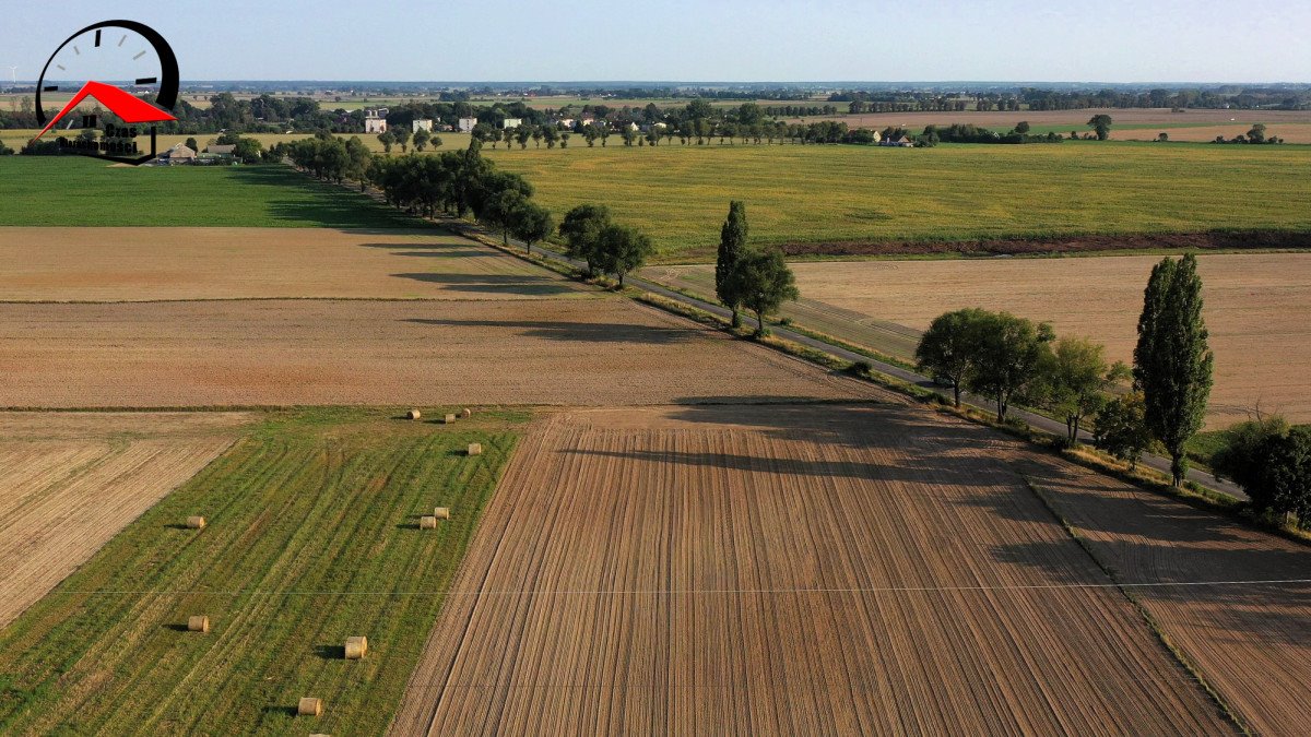 Działka gospodarstwo rolne na sprzedaż Twierdziń  3 000m2 Foto 6