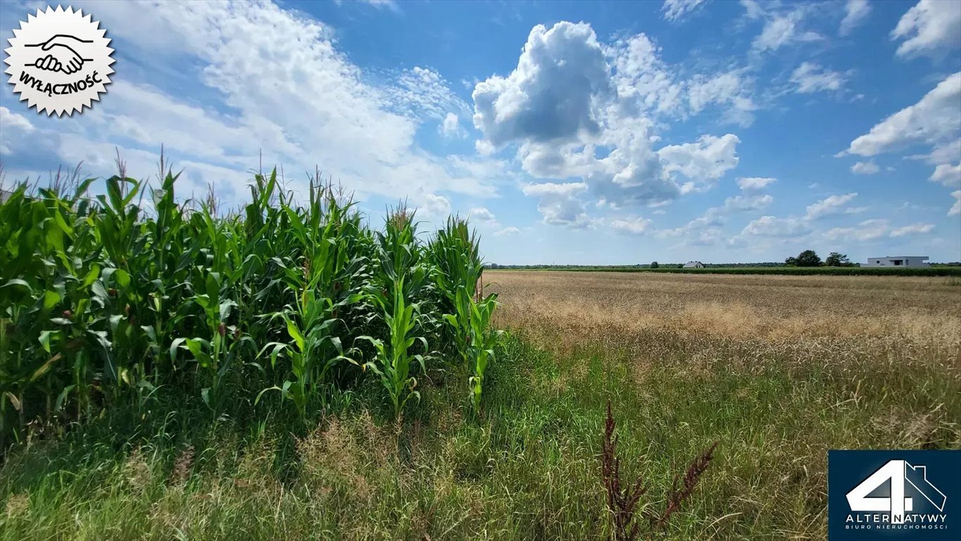 Działka budowlana na sprzedaż Bojszowy, Borowa 30  2 002m2 Foto 3