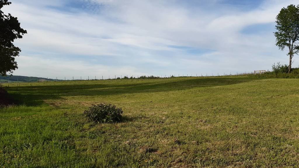 Działka budowlana na sprzedaż Markuszowa  30 000m2 Foto 7