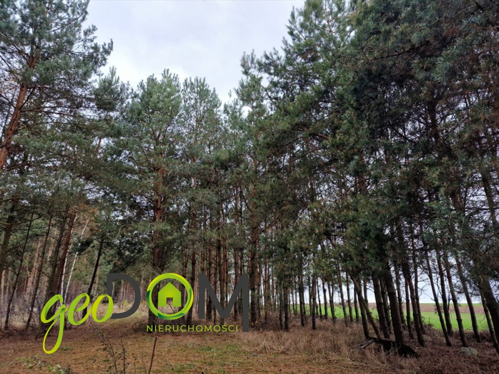 Działka budowlana na sprzedaż Janów Podlaski  7 200m2 Foto 1