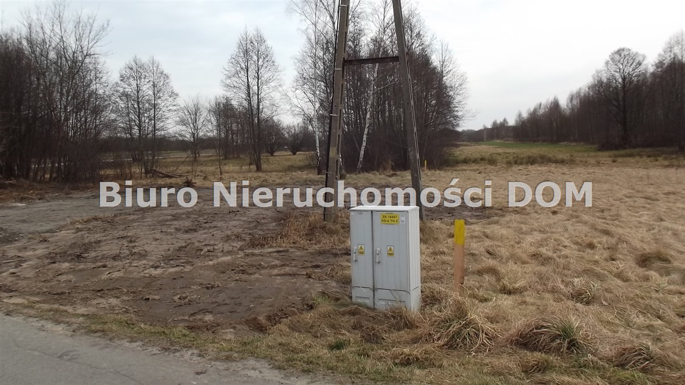 Działka rolna 4700 m2 z lasem i możliwością zabudowy Adamów  4 700m2 Foto 1